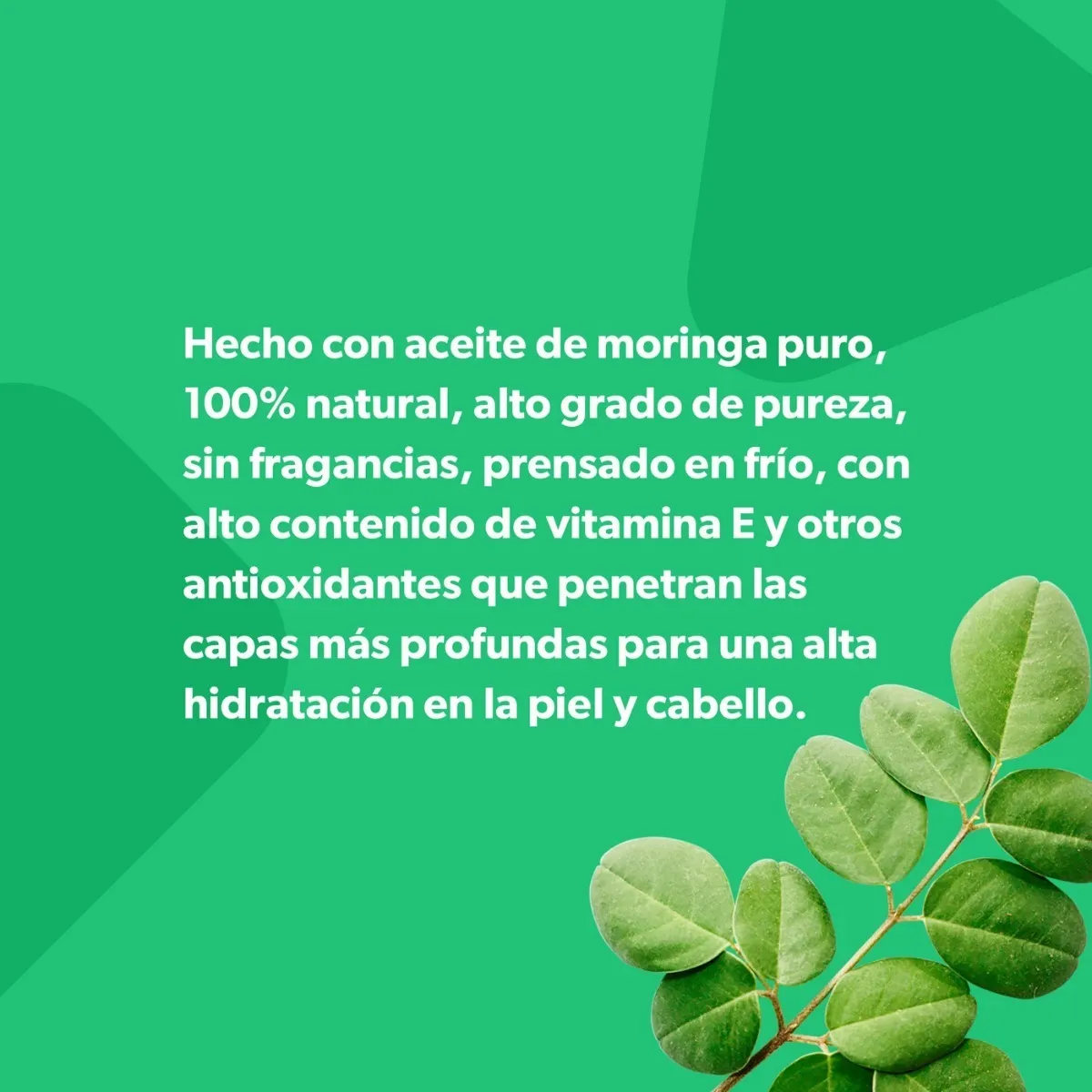 Aceite Facial y Capilar 100% puro de Moringa - Image 4